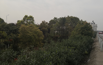 圖片2.png 圖片2.png